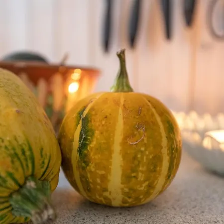 Nikoletta - 250m From The Sea By Interhome * Vester Somarken